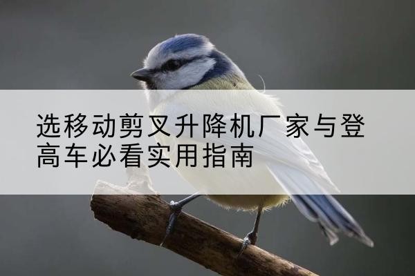 丛台电动升降机厂家-选移动剪叉升降机厂家与登高车必看实用指南