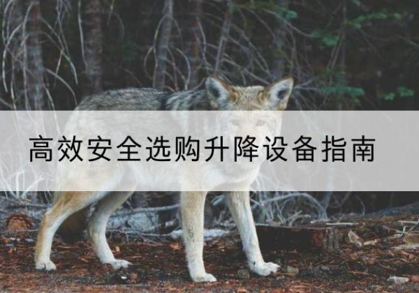 丛台升降货梯厂家推荐-*安全选购升降设备指南