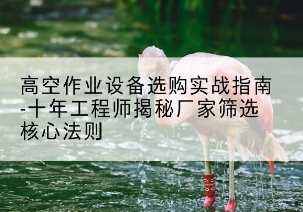 丛台剪叉式升降机厂家-高空作业设备选购实战指南-十年工程师揭秘厂家筛选核心法则