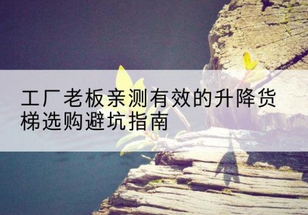 丛台升降货梯怎么选-工厂老板亲测有效的升降货梯选购避坑指南